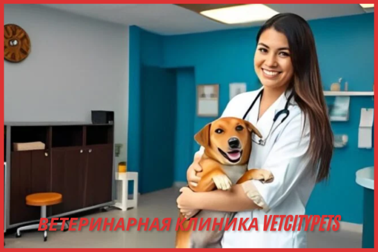 ветеринарная клиника vetcitypets